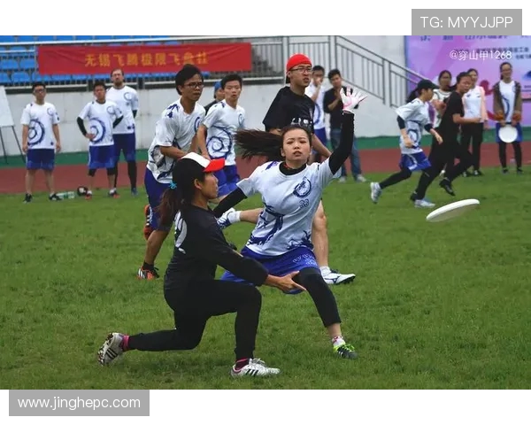 杨军专访：从初学者到飞盘高手的成长与坚持之路